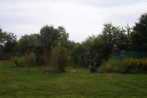 Rückseite des Ballfangnetzes – keine sichtbehindernde Werbung